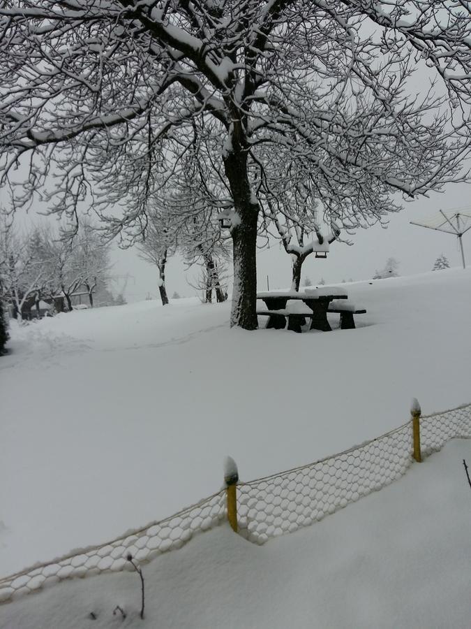 Farm stay Tourist Farm Znidarjevi