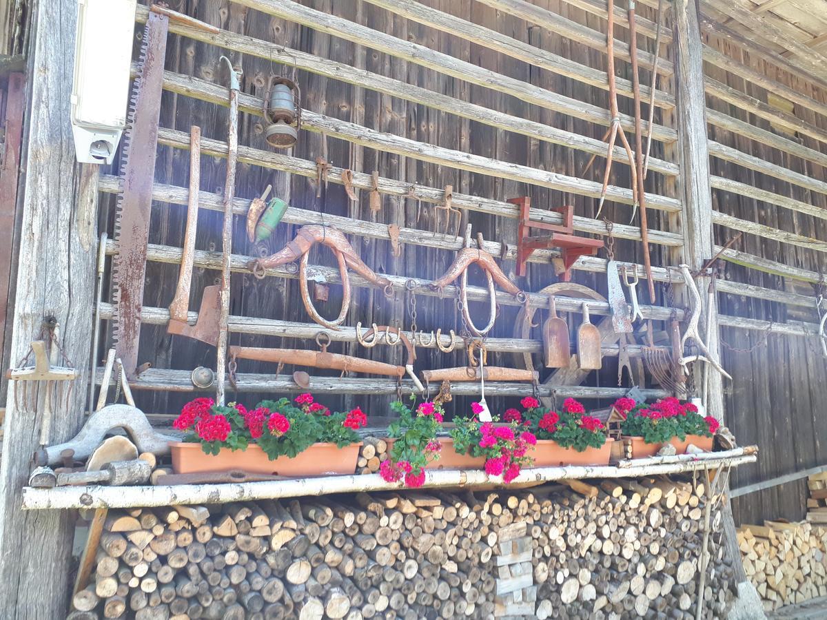 Tourist Farm Znidarjevi Kozljek