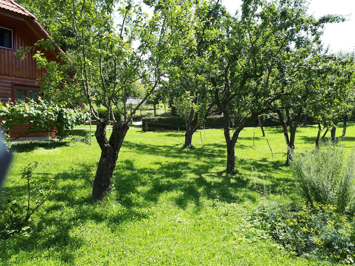Farm stay Tourist Farm Znidarjevi Kozljek
